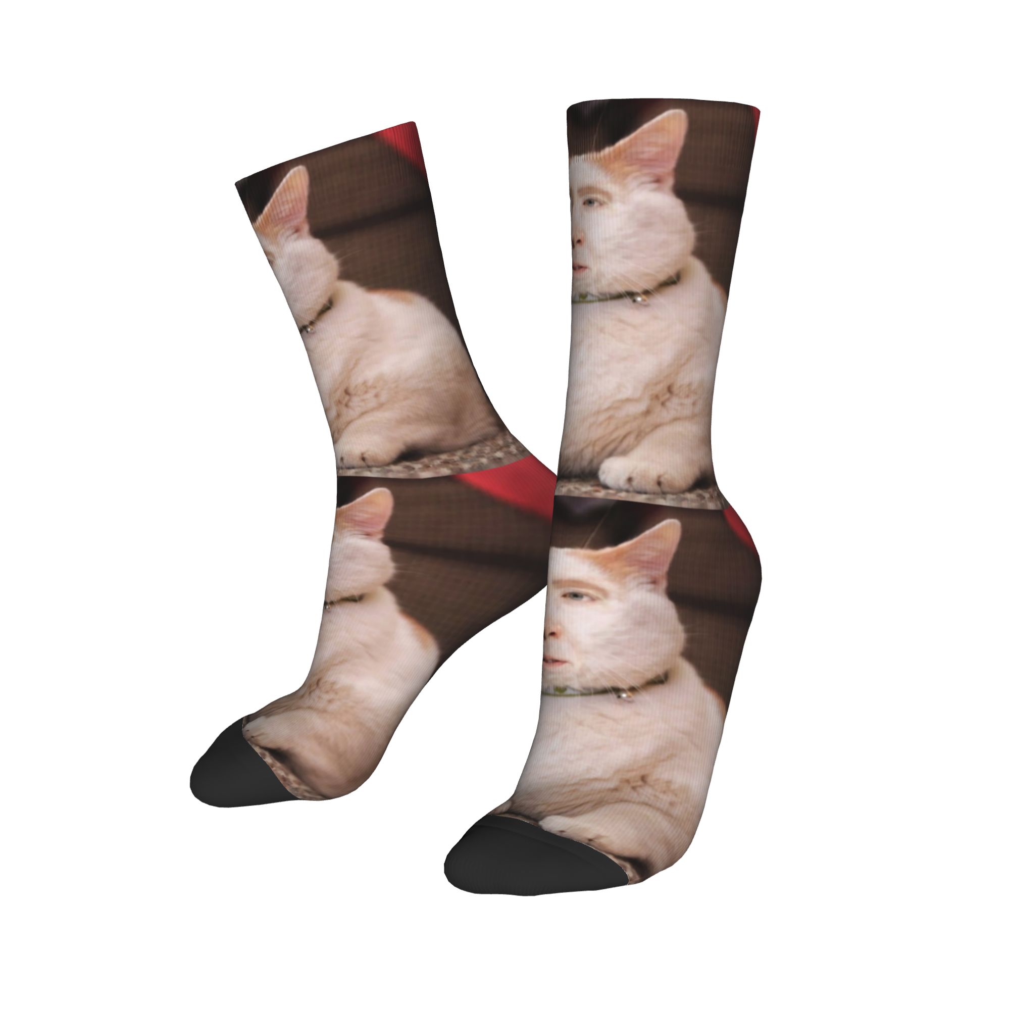Kaus Kaki Kru Nicolas Cage Cat - Dress Sock Men ulasan dan harga