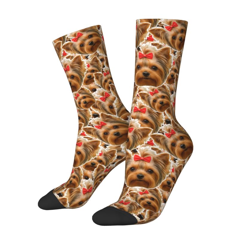 Kaos Kaki Pria Lucu dengan Des - Dress Sock Men ulasan dan harga